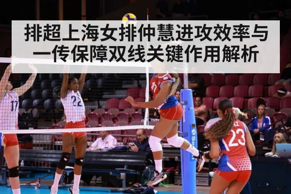 排超上海女排仲慧进攻效率与一传保障双线关键作用解析